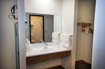 Room, 1 King Bed, Mobility Accessible, Non Smoking (Mobility, Roll-in Shower)