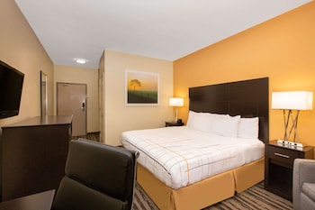 Room, 1 King Bed, Non Smoking
