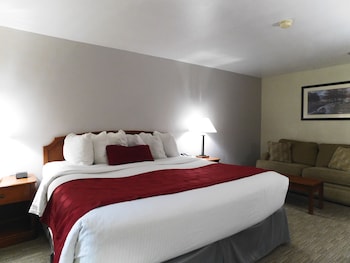 Deluxe Room, 1 King Bed with Sofa bed, Non Smoking