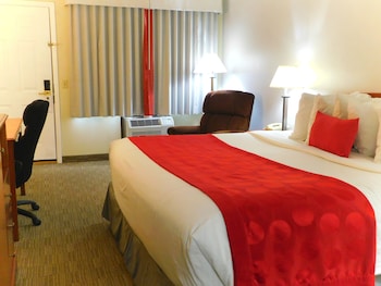 Standard Single Room, 1 King Bed, Non Smoking, Annex Building
