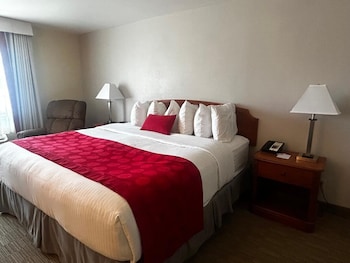 Deluxe Room, 1 King Bed, Smoking