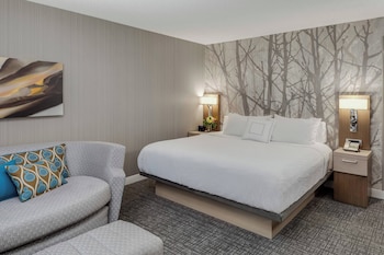 Room, 1 King Bed, Hearing Accessible, Balcony (Accessible Bathtub)