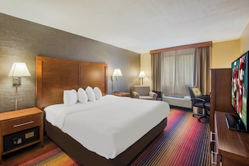 Superior Room, 1 King Bed, Non Smoking