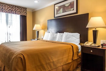 Room, 1 Queen Bed, Accessible, Non Smoking (Roll-In Shower)