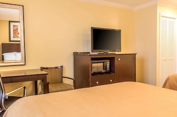Room, 1 Queen Bed, Accessible, Non Smoking (Roll-In Shower)