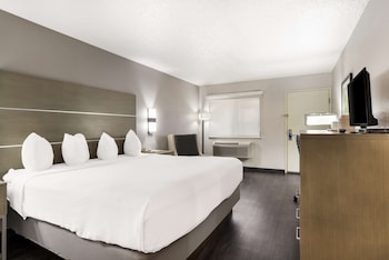 Standard Room, 1 King Bed, Accessible, Non Smoking (Walk-in Shower)