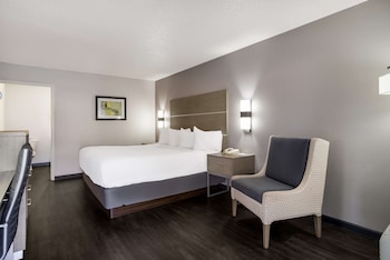 Standard Room, 1 King Bed, Accessible, Non Smoking (Walk-in Shower)