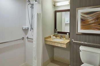 Room, 1 King Bed, Hearing Accessible (Accessible Bathtub)
