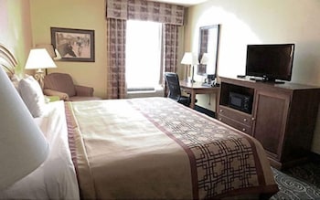 Standard Room, 1 King Bed