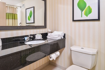 Room, 1 King Bed, Hearing Accessible