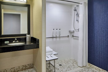 Room, 1 King Bed (Mobility/Hearing Access, Roll-In Shwr)