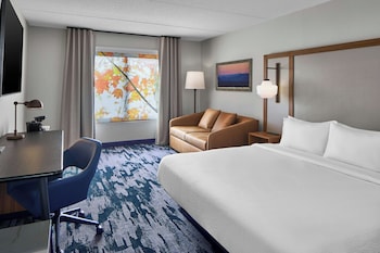 Room, 1 King Bed with Sofa bed