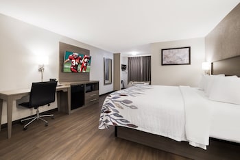 Superior Room, 1 King Bed, Non Smoking