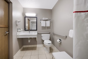Superior Room, 1 King Bed, Accessible, Non Smoking (Roll-In Shower)