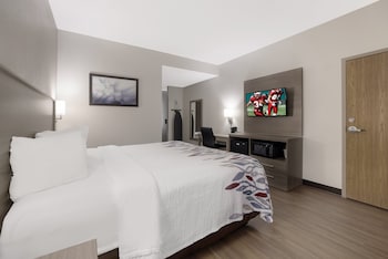 Superior Room, 1 King Bed, Accessible, Non Smoking (Roll-In Shower)