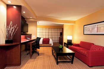 Studio, 1 King Bed with Sofa bed