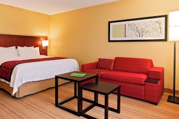 Room, 1 King Bed with Sofa bed, Hearing Accessible (Accessible Bathtub)