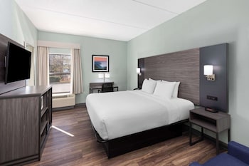 Room, 1 King Bed, Accessible, Non Smoking (Mobility, Roll-In Shower)