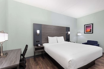 Room, 1 King Bed, Non Smoking