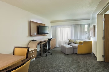 Suite, 1 King Bed with Sofa bed, Accessible Bathtub