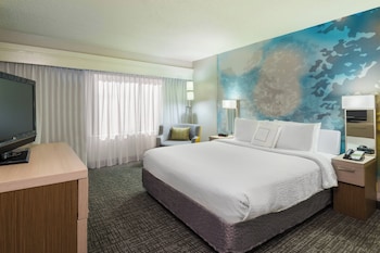 Suite, 1 King Bed with Sofa bed, Accessible Bathtub