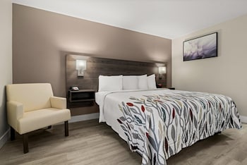 Deluxe Room, 1 King Bed, Accessible, Non Smoking (Roll-In Shower)