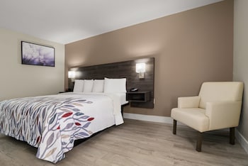 Deluxe Room, 1 King Bed, Accessible, Non Smoking (Roll-In Shower)