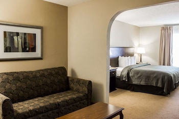 Room, 1 King Bed with Sofa bed, Non Smoking