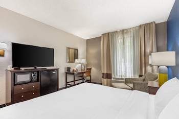 Standard Room, 1 King Bed, Non Smoking