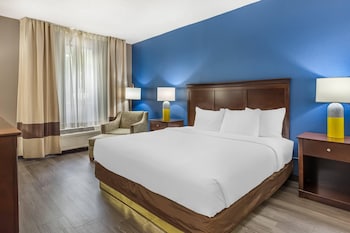 Standard Room, 1 King Bed, Non Smoking