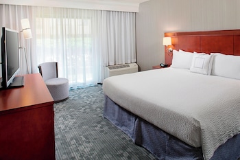 Room, 1 King Bed with Sofa bed (Mobility/Hearing Access, Roll-In Shwr)