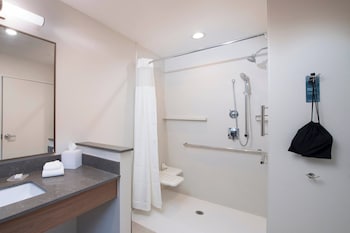 Room, 1 King Bed, Hearing Accessible (Roll-in Shower & Transfer Shower)