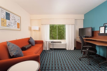 Studio, 1 King Bed with Sofa bed