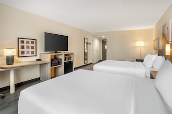 Room, Multiple Beds