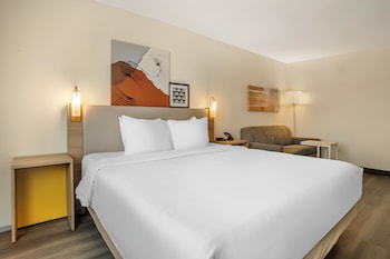 Room, 1 King Bed with Sofa bed