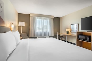 Room, 1 King Bed