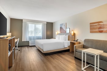 Room, 1 King Bed with Sofa bed