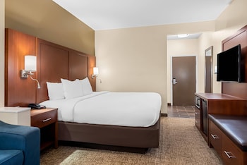 Suite, 1 King Bed with Sofa bed, Accessible, Non Smoking