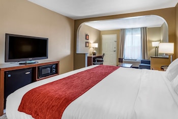 Business Suite, 1 King Bed