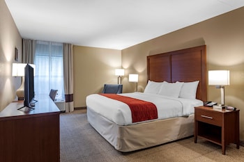 Room, 1 King Bed, Accessible, Non Smoking (Roll-in Shower, 1st Floor)