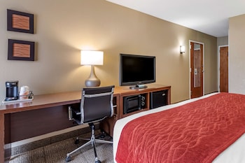 Room, 1 King Bed, Non Smoking