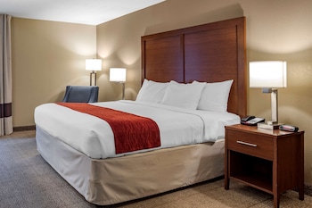 Room, 1 King Bed, Accessible, Non Smoking (Roll-in Shower, 1st Floor)