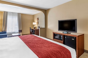 Suite, 1 King Bed, Non Smoking