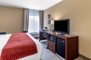 Room, 1 King Bed, Non Smoking