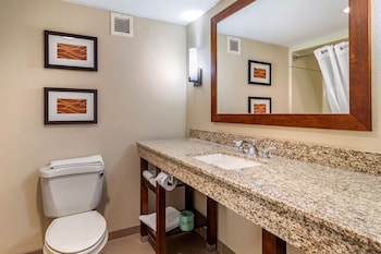 Business Suite, 1 King Bed