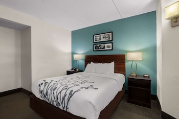 Standard Room, 1 Queen Bed, Non Smoking