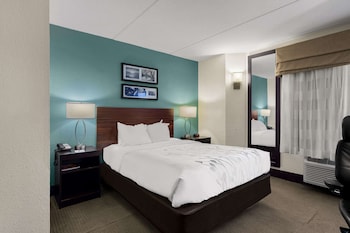 Standard Room, 1 Queen Bed, Non Smoking