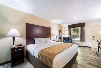 Standard Room, 1 King Bed, Non Smoking