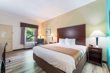 Room, 1 King Bed, Accessible, Smoking