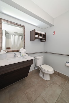 Room, 1 King Bed, Accessible, Non Smoking
